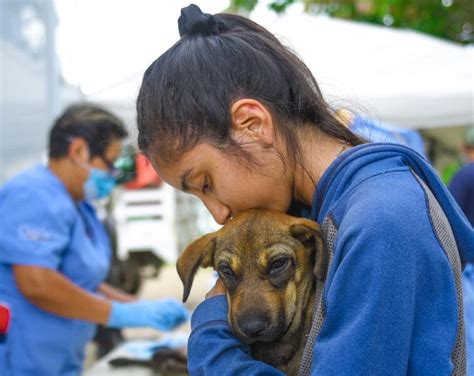 Realiza Ayuntamiento jornada de esterilización canina y felina en la