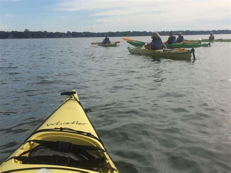 Shem Creek. | Kayaking, Creek, Surfboard