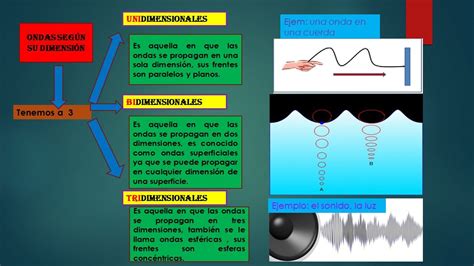 Ondas Seg N Su Dimensi N Unidimensionales Bidimensionales