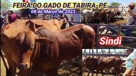 Segunda Parte Da Feira Do Gado De Tabira Pe Dia Curral Do