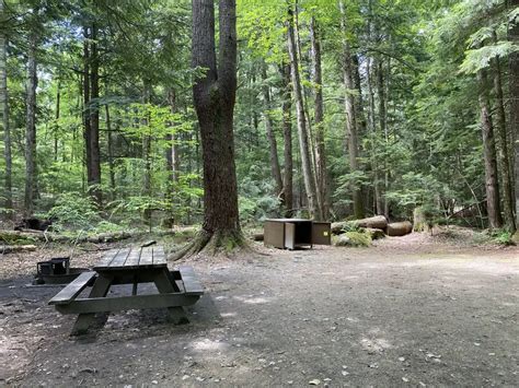 Clarksburg State Park Campground in Clarksburg, MA | Berkshires Outside