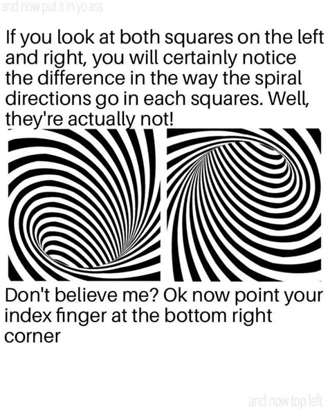 An Optical Illusion Meme For Your Vision Stimulations Rdankmemes