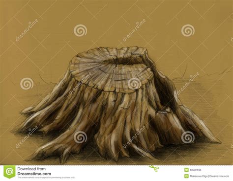 Old Tree Stump Sketch Stock Illustration Illustration Of Antique