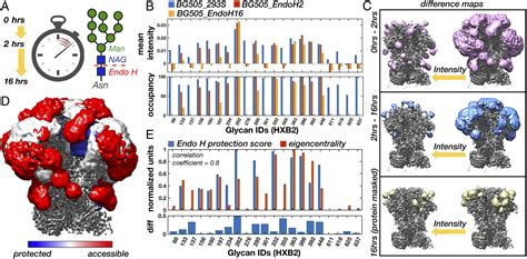 Visualization Of The HIV 1 Env Glycan Shield Across Scales PNAS