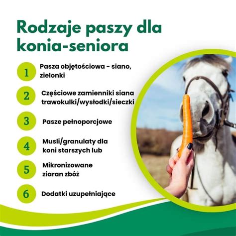 Pasza Dla Koni Starszych Equizen Pl