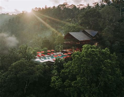 All About Banyan Tree Buahan, The First Banyan Tree Escape In Bali