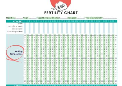 Fertility chart | MummyPages.ie