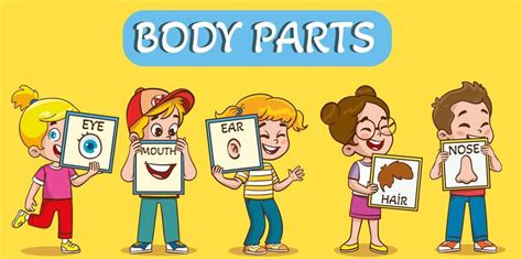 Kids Body Parts Vector Art Icons And Graphics For Free Download