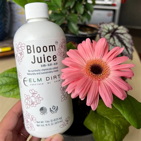 Elm Dirt Bloom Juice For Flowering Plants Walmart