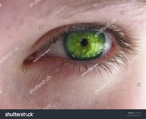 Emerald Green Eyes Stock Photo 1181731 - Shutterstock