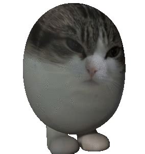 Egg Cat Bounce Sticker - Egg Cat Bounce 3d - Discover & Share GIFs