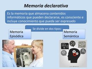 Conceptualización actual de la memoria PPT