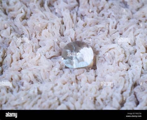 Yeast Microscope Hi Res Stock Photography And Images Alamy