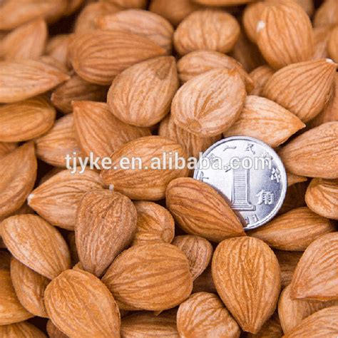 Organic Apricot Kernels Yke Ak China Yke Price Supplier Food