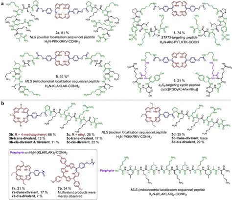 Construction Of Porphyrin Peptide Conjugates On Various Bioactive Download Scientific Diagram