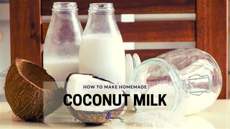 Best Coconut Milk Brands (2021) - Nourishing Time