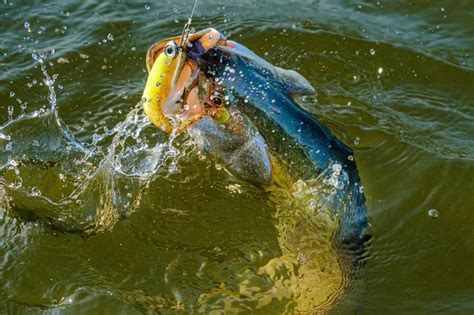 Jon Hauge Photographer | October Fishing in Mobile Bay | Daphne Alabama