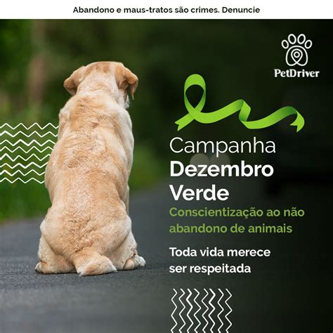 Campanha Dezembro Verde Toda vida importa não abandone PetDriver