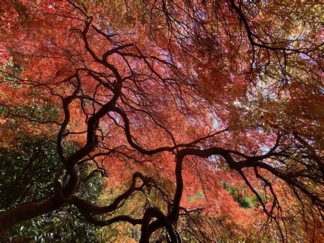 Historic Gardens added a new photo. - Historic Gardens