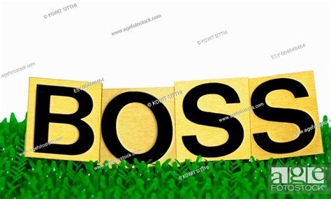 boss text, Stock Photo, Picture And Low Budget Royalty Free Image. Pic ...