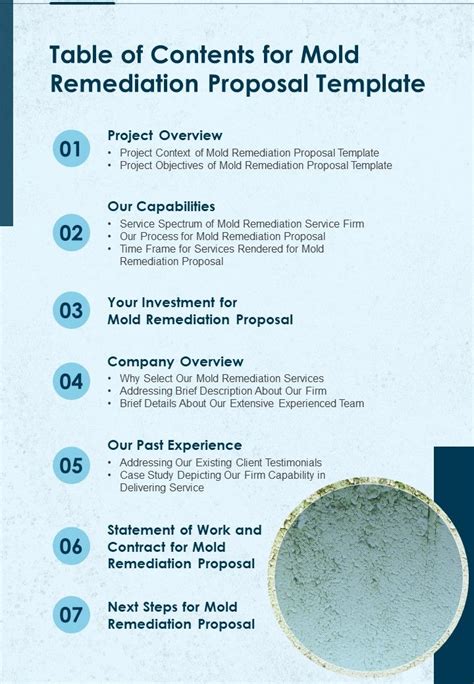 Table Of Contents For Mold Remediation Proposal Template One Pager