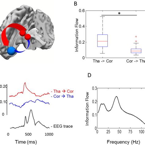 Group Results From Eeg Informed Fmri Using Glm Z Axis Is Indicated In