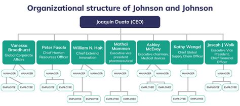 Johnson And Johnson Organizational Structure Felicitro