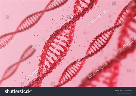 Helix Human Dna Structure Dna Structure Stock Photo 2276578899 ...