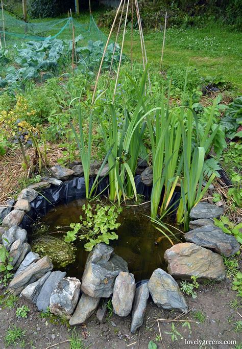 How To Build A Small Pond For The Garden • Lovely Greens Ponds For