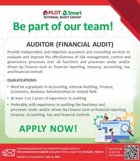 Financial Auditor Job