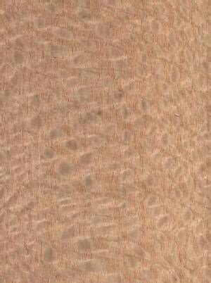 Lacewood QC Wood Grain Veneer Wood Veneer Veneers