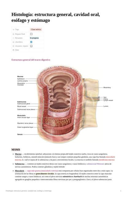 Histología estructura general cavidad oral esófago y estómago