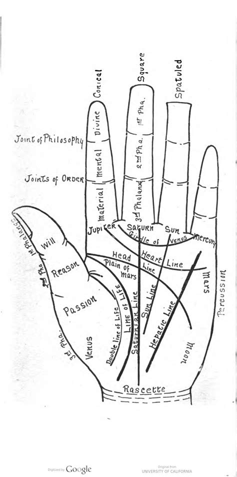 A Palm Reading Diagram In A Guide To Palmistry By Eliza Easter