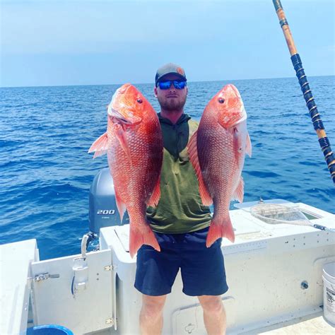 Vermilion Snapper Your Ultimate Guide To This Extraordinary Fish