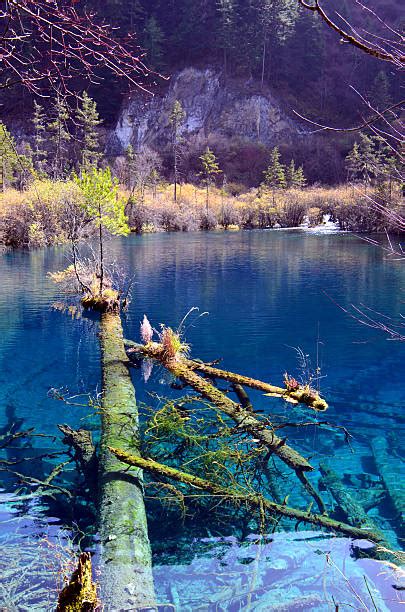 130+ Long Lake Jiuzhaigou Stock Photos, Pictures & Royalty-Free Images - iStock