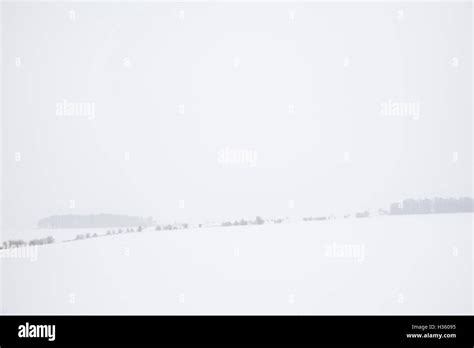 Fields Covered In A Layer Of Snow In This Bleak Winters Landscape With