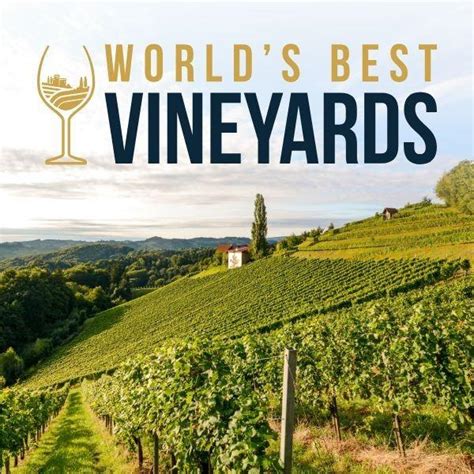 World S Best Vineyards