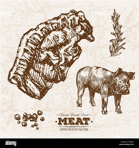 Hand Drawn Sketch Pork Steak Meat Products Set With Ribs Farm Fresh