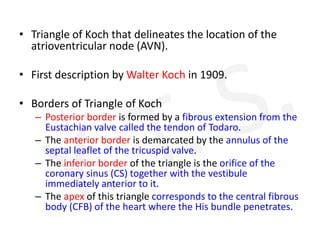 Triangle Of Koch PPT