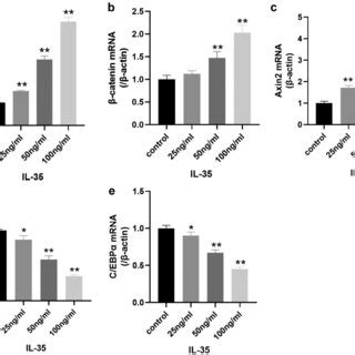 Ac Osteogenic Transcription Factors And Wnt Catenin Components