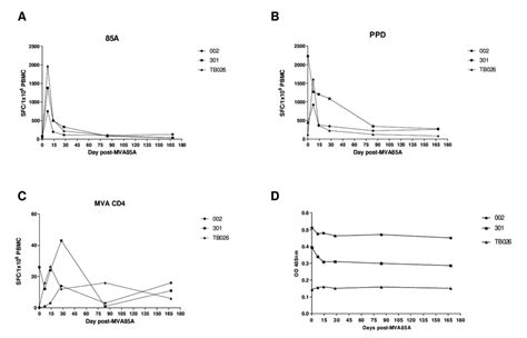 Ifn Enzyme Linked Immunospot Elispot Responses A C Or Anti R A