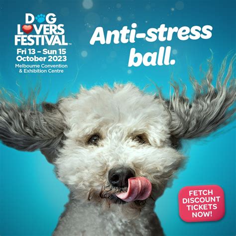 Dog Lovers Festival 2023