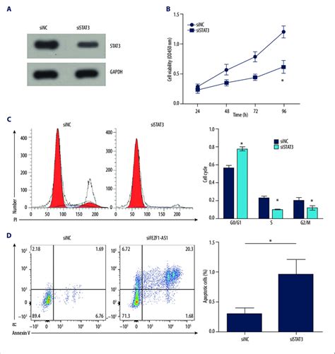 Stat Knockdown Suppresses Ovarian Cancer Cell Proliferation And