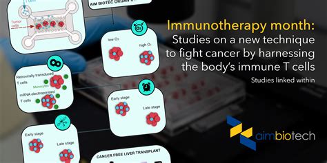 Developing a new adoptive T cell immunotherapy with AIM’s organ-on-a ...