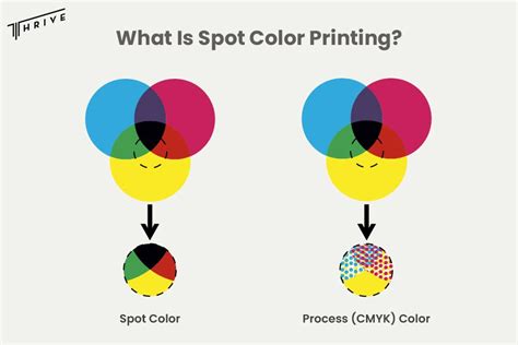 What Is Spot Color Printing? - Techniques and Applications