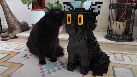 Here's a Fun, Unique Way to Make a LEGO Model of Your Cat - Nerdist