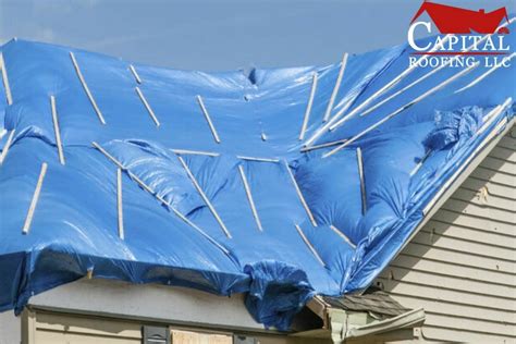 Roof Tarps: Everything Homeowners Need To Know