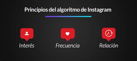 Algoritmo De Instagram 3 Principios De Cómo Funciona