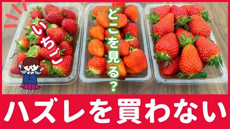 ハズレの「いちご」を買わない選び方！たった3つのコツを解説 ぱるとよ 食材ブログ