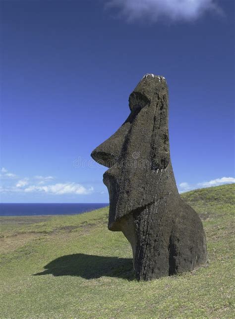 Isola Di Pasqua Moai Cile South Pacific Immagine Stock Immagine